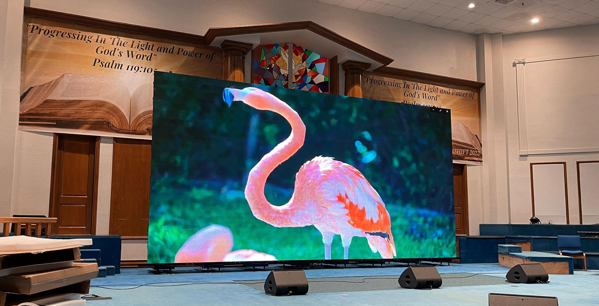 A large screen displays a flamingo inside a church